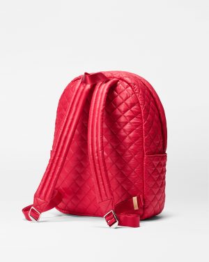 Apple City Metro Backpack